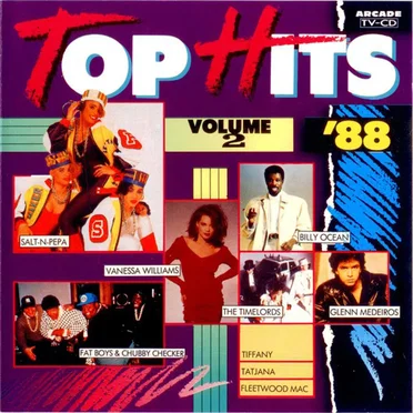 Top Hits '88, Volume 2 by Various Artists - album cover