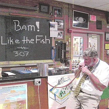 BAM! Like the Fish?!? by 307 - album cover