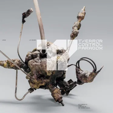 Control Paradox by T/Error - album cover