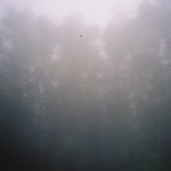 Fragments