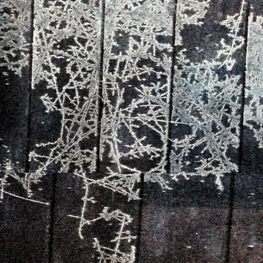 stasis wake cont’d