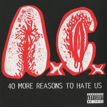 40 More Reasons to Hate Us