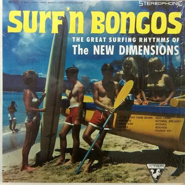 Surf’n Bongos (The Great Surfing Rhythms of the New Dimensions)