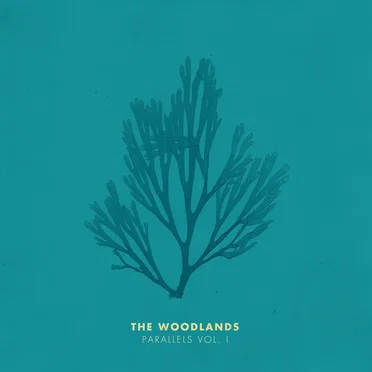 Parallels Vol. I by The Woodlands - album cover