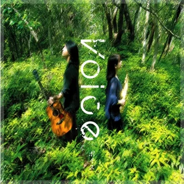 Voice by sala‐saji - album cover