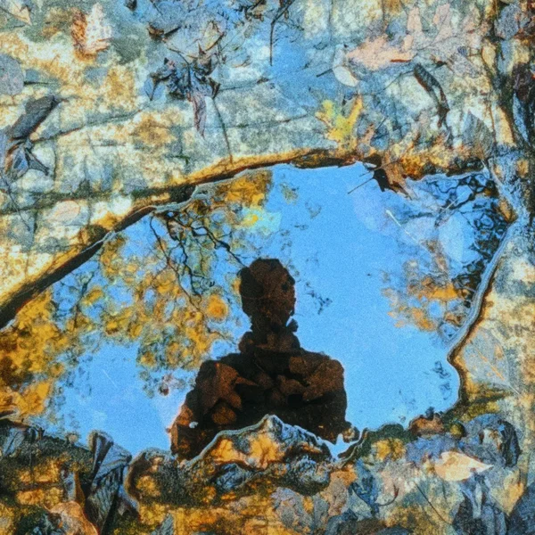 Is This What Life Is Like?