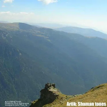 Shaman Tones by Artik - album cover