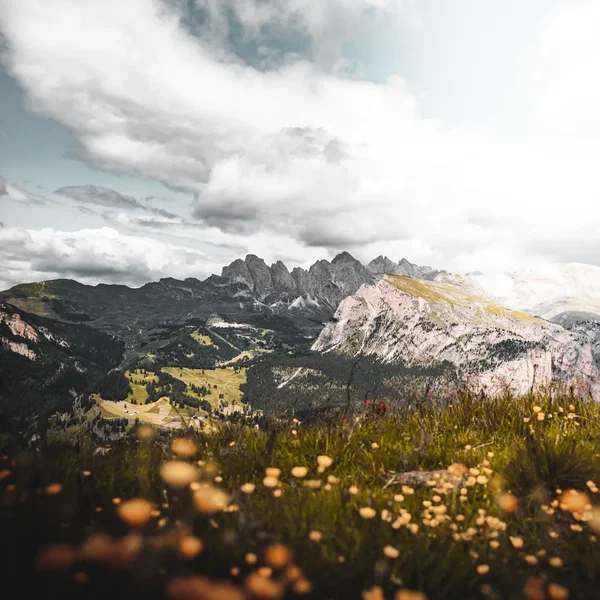 10 Years of Naviar Haiku