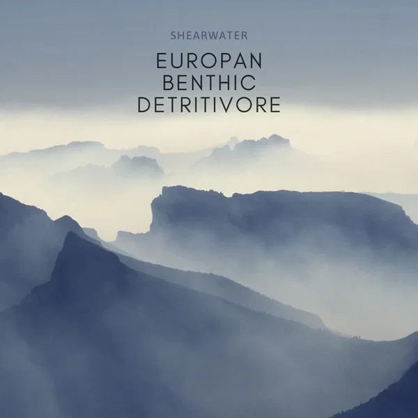 Quarantine Music II: Europan Benthic Detritivore