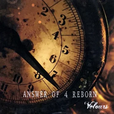 ANSWER OF 4 REBORN