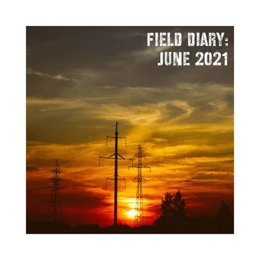 Field Diary: June 2021 by Various Artists - album cover