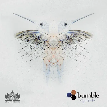 Symbiota by Bumble - album cover