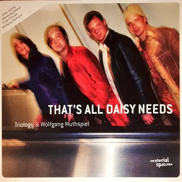 That's All Daisy Needs by Wolfgang Muthspiel Trio - album cover
