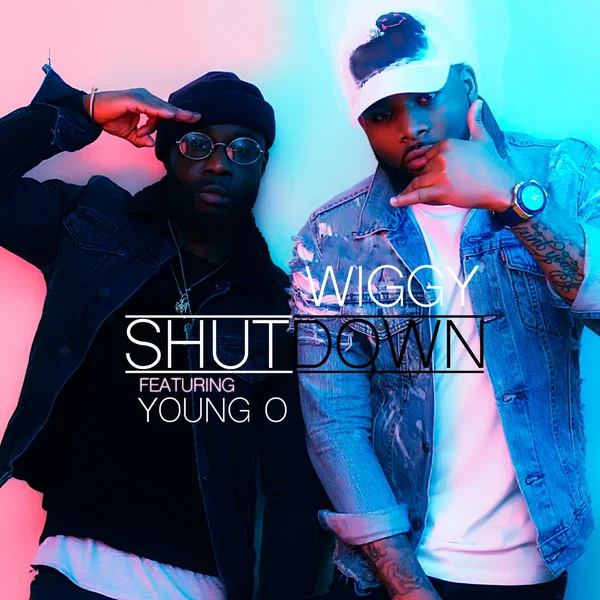 ShutDown