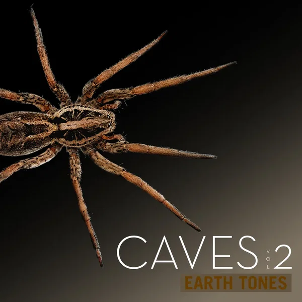 Caves, Vol. 2