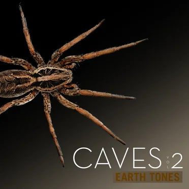 Caves, Vol. 2
