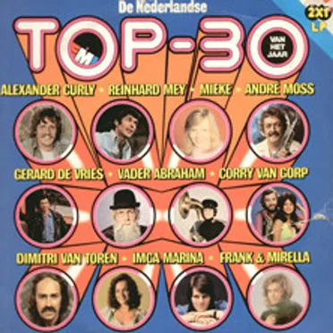 De Nederlandse Top 30 van het jaar by Various Artists - album cover