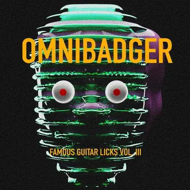 Famous Guitar Licks Vol. III