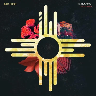 Transpose (Nicita remix)