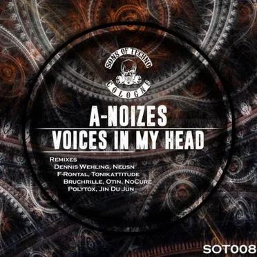 Voices In My Head by A-Noizes - album cover