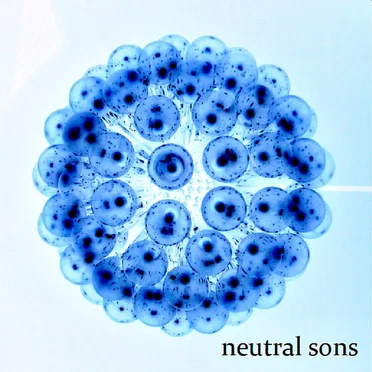 Neutral Sons by Neutral Sons - album cover