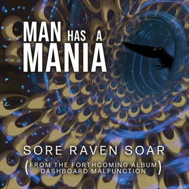 Sore Raven Soar