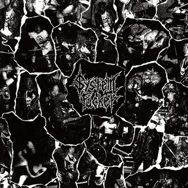 System Fucker by System Fucker - album cover