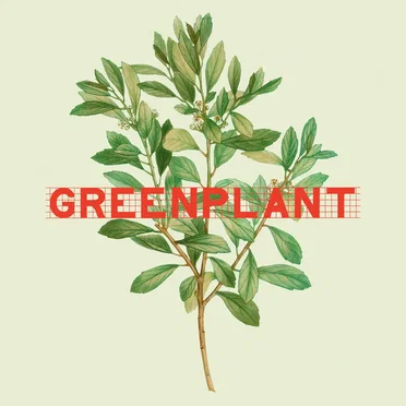 Greenplant by Greenplant - album cover