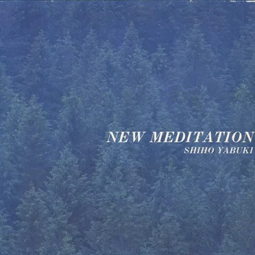 NEW MEDITATION
