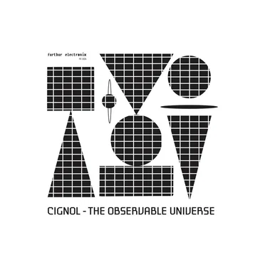 The Observable Universe