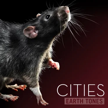 Cities