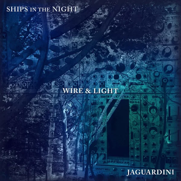 Wire & Light