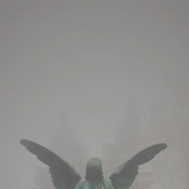 Pity / Piety