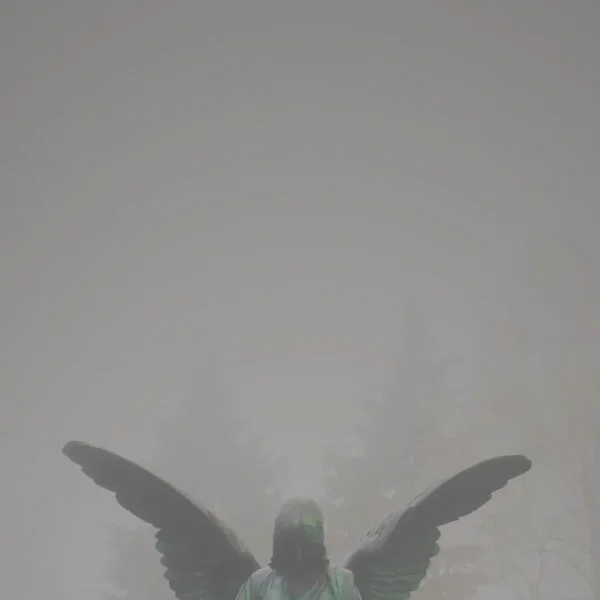 Pity / Piety