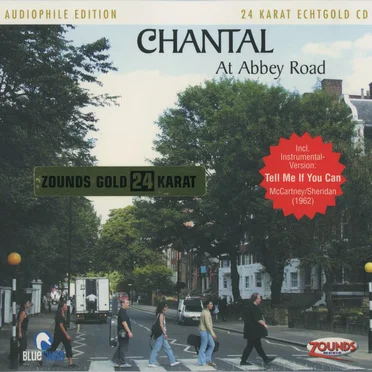 At Abbey Road - Beatles Strictly Instrumental