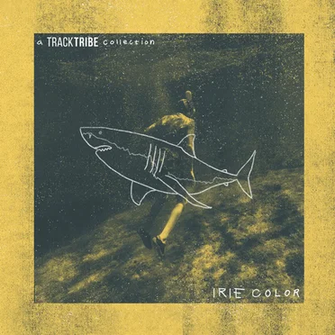 Irie Color by TrackTribe - album cover