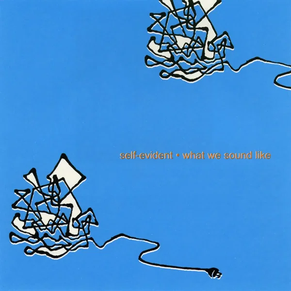 What We Sound Like