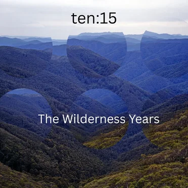 The Wilderness Years