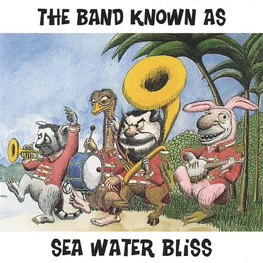 The Band Known as Sea Water Bliss by The Band Known as Sea Water Bliss - album cover