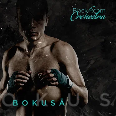 Bokusa by Black Room Orchestra - album cover