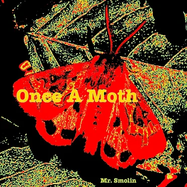 Once a Moth