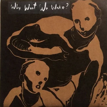 Why Won't We Wake ? by The Makers Of The Dead Travel Fast - album cover