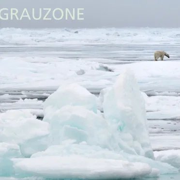 Grauzone 1980-1982 Remastered