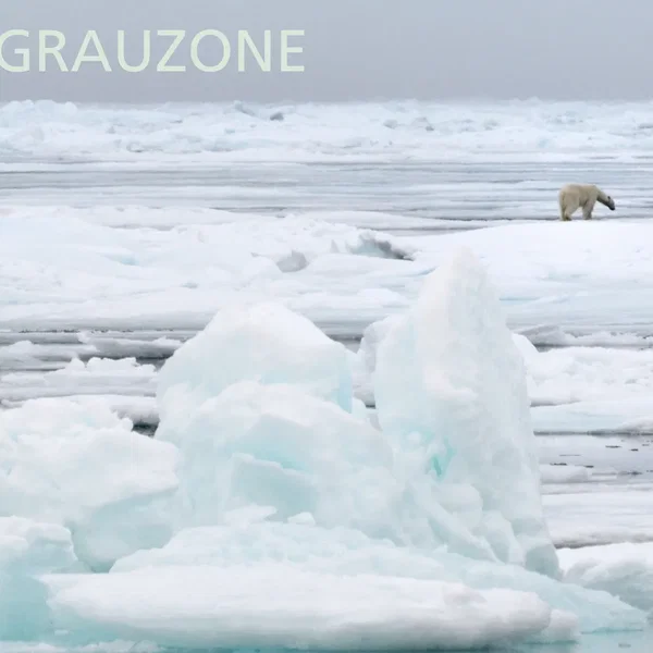Grauzone 1980-1982 Remastered
