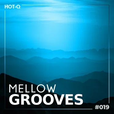 Mellow Grooves 019 by Various Artists - album cover