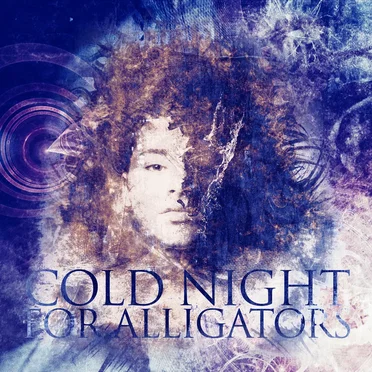 Transitions by Cold Night for Alligators - album cover
