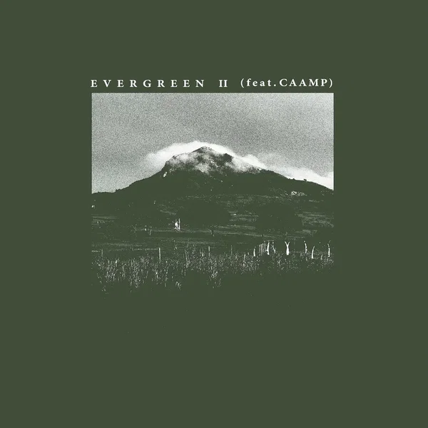 Evergreen