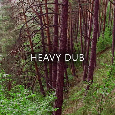 Heavy Dub by Various Artists - album cover
