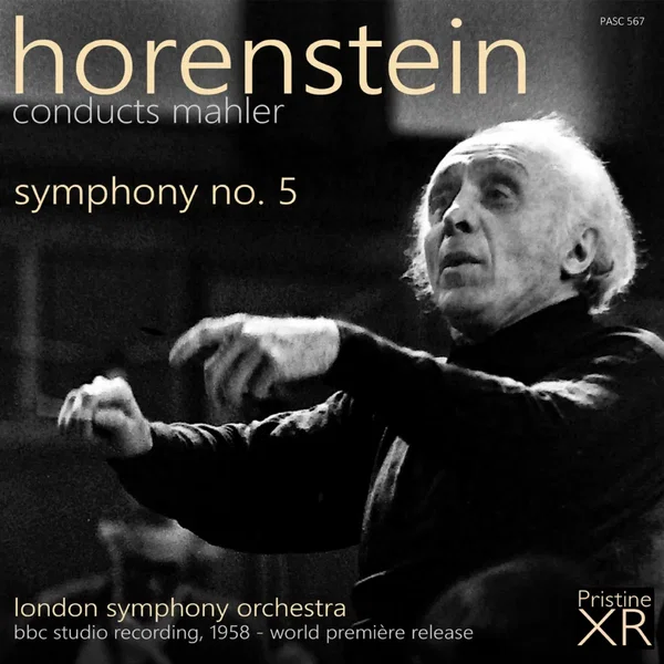 Symphony no. 5