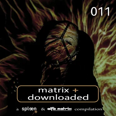 Matrix+ Downloaded 011: A Spleen+ & Alfa Matrix Compilation by Various Artists - album cover
